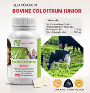 Sữa bò non - hỗ trợ tăng cường hệ miễn dịch của bạn