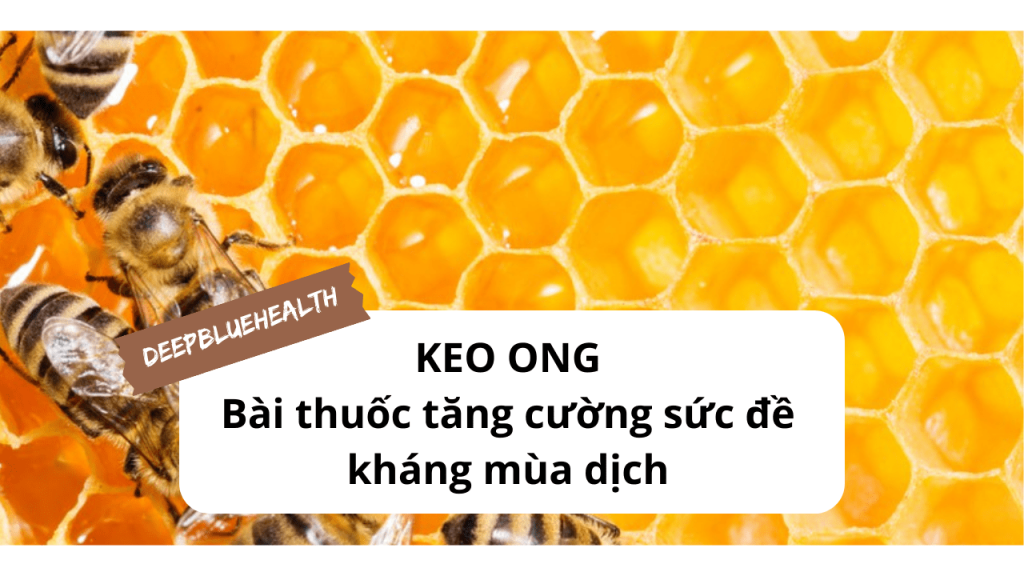 Keo ong - Bài thuốc tăng cường sức đề kháng mùa dịch