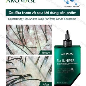Dầu gội sạch sâu da đầu dạng lỏng Aromase 5α Juniper Scalp Purifying Liquid Shampoo 80ml 3