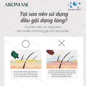 Dầu gội sạch sâu da đầu dạng lỏng Aromase 5α Juniper Scalp Purifying Liquid Shampoo 80ml 6