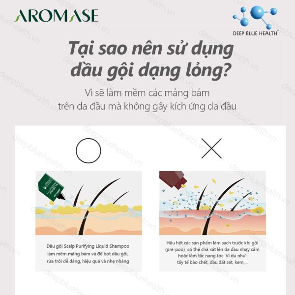 Dầu gội sạch sâu da đầu dạng lỏng Aromase 5α Juniper Scalp Purifying Liquid Shampoo 80ml 6