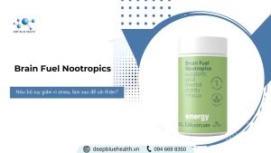 Brain Fuel Nootropics
