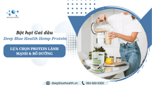 Chọn Bột hạt Gai dầu Deep Blue Health Hemp Protein Powder – Một lựa chọn protein lành mạnh & bổ dưỡng Bột hạt Gai dầu Deep Blue Health Hemp Protein Powder – Một lựa chọn protein lành mạnh & bổ dưỡng