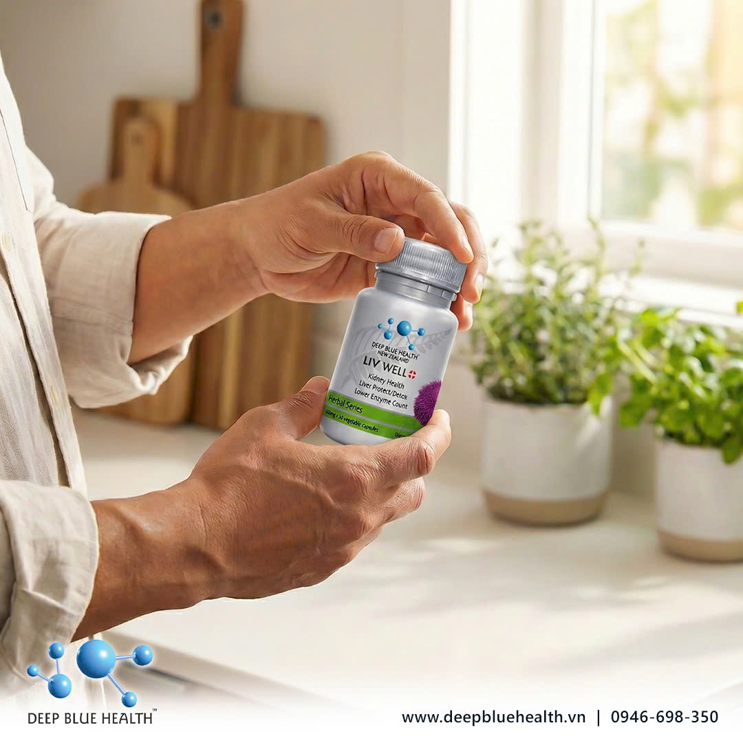 Cây Kế sữa hỗ trợ quá trình trao đổi chất hàng ngày của gan như thế nào? 1