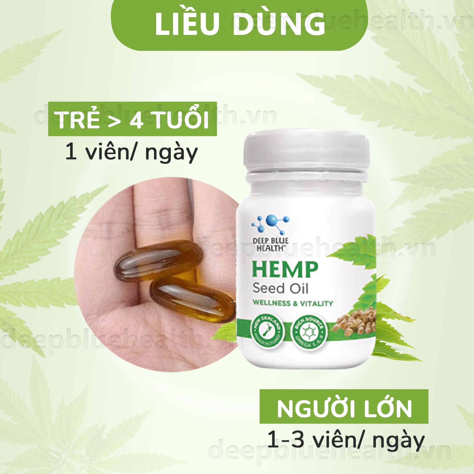 Omega 3 thực vật và động vật: Bạn cần hiểu rõ sự khác biệt này! 9