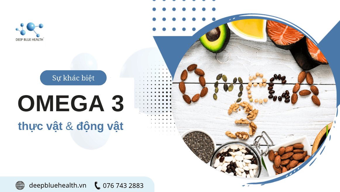 Omega 3 thực vật và động vật: Bạn cần hiểu rõ sự khác biệt này!