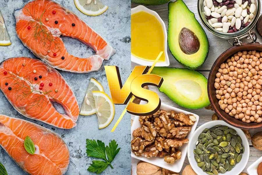 Omega 3 thực vật và động vật: Bạn cần hiểu rõ sự khác biệt này! 8